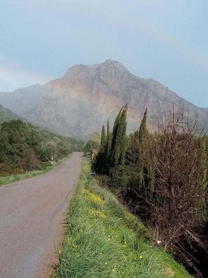 Su Cappeddu Agriturismo San Giorgio  Buitenkant foto